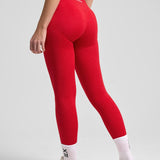 Definex Seamless Spor Tayt Long — Scarlet, detay 2
