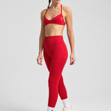 Definex Seamless Spor Tayt Long — Scarlet, detay 2
